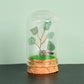 Natural crystal rough glass cover micro landscape crystal tree