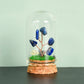 Natural crystal rough glass cover micro landscape crystal tree