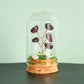 Natural crystal rough glass cover micro landscape crystal tree