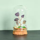 Natural crystal rough glass cover micro landscape crystal tree