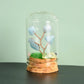 Natural crystal rough glass cover micro landscape crystal tree