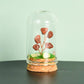 Natural crystal rough glass cover micro landscape crystal tree
