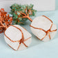 White crystal base crystal tree